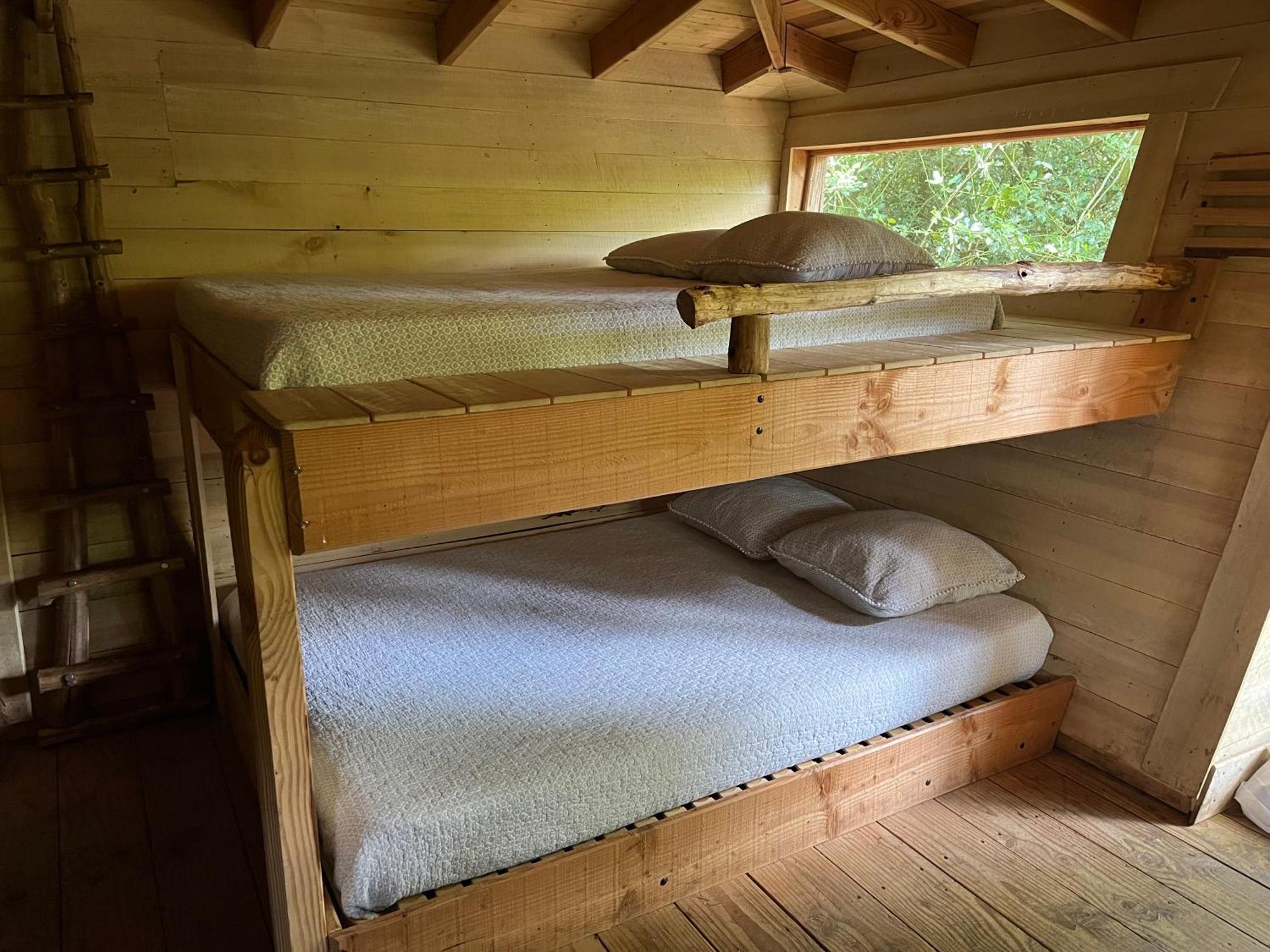 Les Ecolodges De L'Orbiere Force Ngoại thất bức ảnh