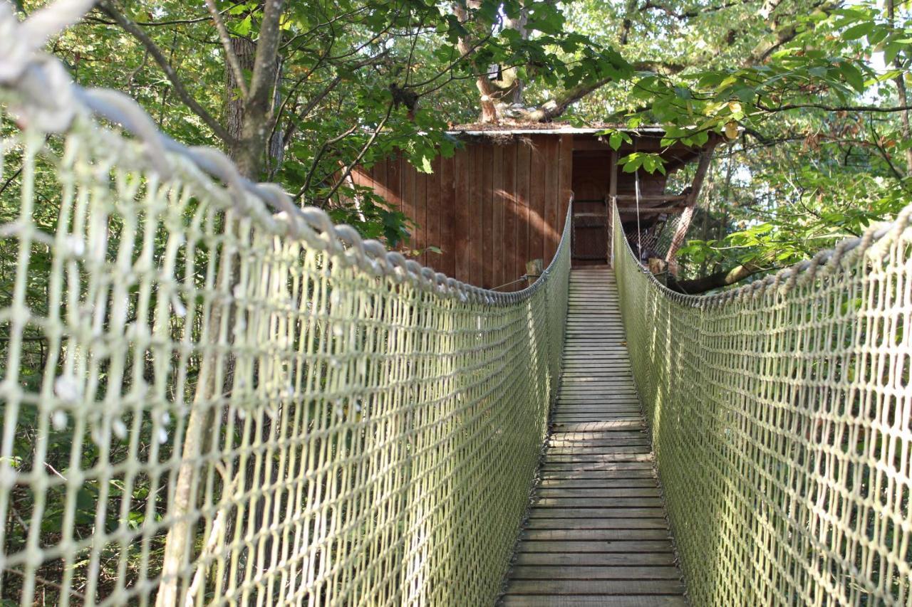 Les Ecolodges De L'Orbiere Force Ngoại thất bức ảnh