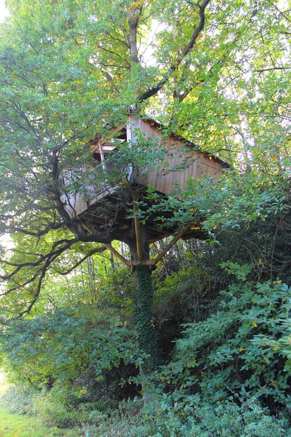 Les Ecolodges De L'Orbiere Force Ngoại thất bức ảnh