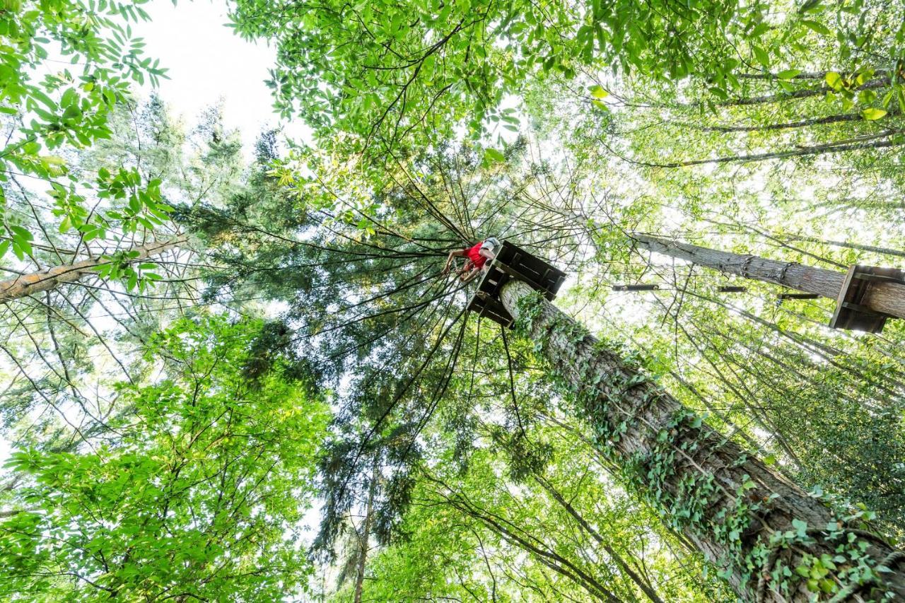 Les Ecolodges De L'Orbiere Force Ngoại thất bức ảnh